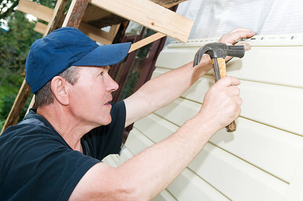 Best Stucco Siding  in Toona, AL