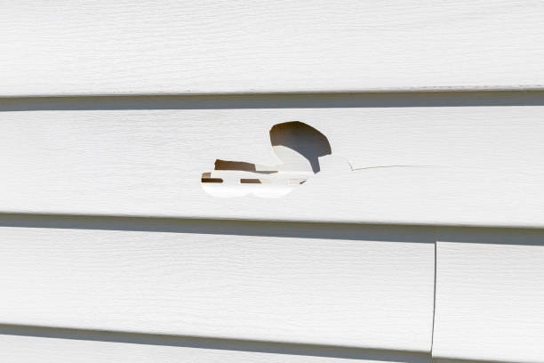 Best Siding Repair  in Toona, AL