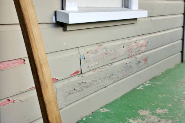 Best Fiber Cement Siding Installation  in Toona, AL